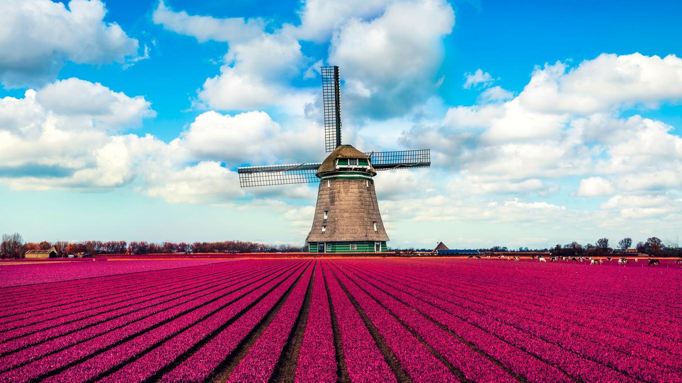 Flights to Netherlands