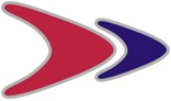Dana Air