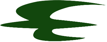 Iraqi Airways